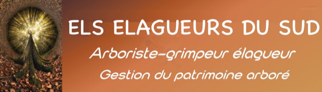 Elagueur du sud spécialiste en élagage, abattage, débroussaillage et entretien des espaces verts à Montpellier et sa région